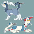 Sock Cat Adopts
