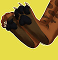 animation paws