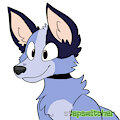 Socks Heeler