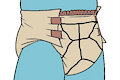 Squirtle Diapers