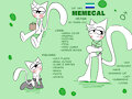 My fursona by Memecal