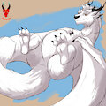 [NDBM] 10% Bear, 20% Belly...