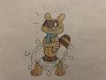 Padded Procyons: Chase The Raccoon!