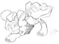 Felicia pie