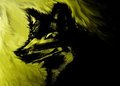 Pride by Frontir