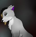 Why...? by RoxPaw