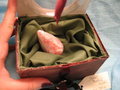 Scarlet Moorland Wyvern egg 2