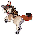 Coyote Chibi