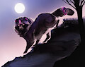 Under the Moon by critterfluid