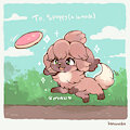 Fetch !
