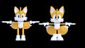 Nip'N'Tuck Tails! WIP by Rotalice2
