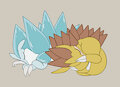 Sandslash Day 2023