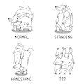 Skuntank Day 2023