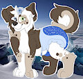tiara the puppy