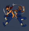 Ninja Pals