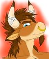 Hriyn by saracide