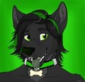 Shal by saracide