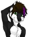 Skitch by saracide