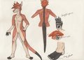 Ryker the Red Kangaroo by Vollmar