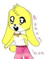 Bunny boo by Multiplefursonafurry
