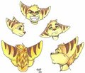 Ratchet Dump by saracide