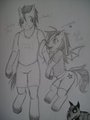 Ponysonas