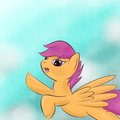 Fly High Little Filly