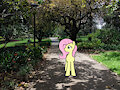Fluttershy, Walk On By