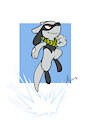 Sai Riolu Jump
