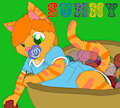 a kittys favorite place