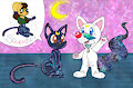 MOON CATS