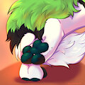 Paws