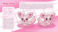 Marsha the Minccino (Profile Sheet) by ClementineNoms
