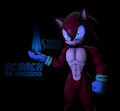 Scorch The Hedgehog, Lord of the flame!