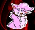 Smug Tazzi
