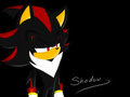 Shadow :3 