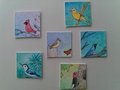 Tiny Birds