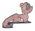 Ferrety by Bucky