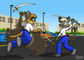 Mako vs MC a sonic rivalry