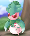 Lil Bud