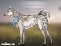 Skylar Reference Sheet by Kuruk