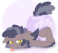 Plunk