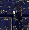 Noche Estrellada by DavyCoony