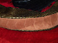 My leather scal-tail