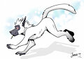 He Runnin