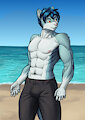 Big cat on a beach by Zaowl