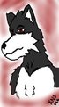 Xavier (headshot)