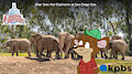 Max Sees the Elephants