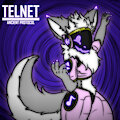 Telnet - Ancient Protocol