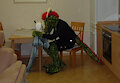 Suit Bau